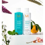 Morocconoil Master Scalp  Balancing- Fejbőrápolás